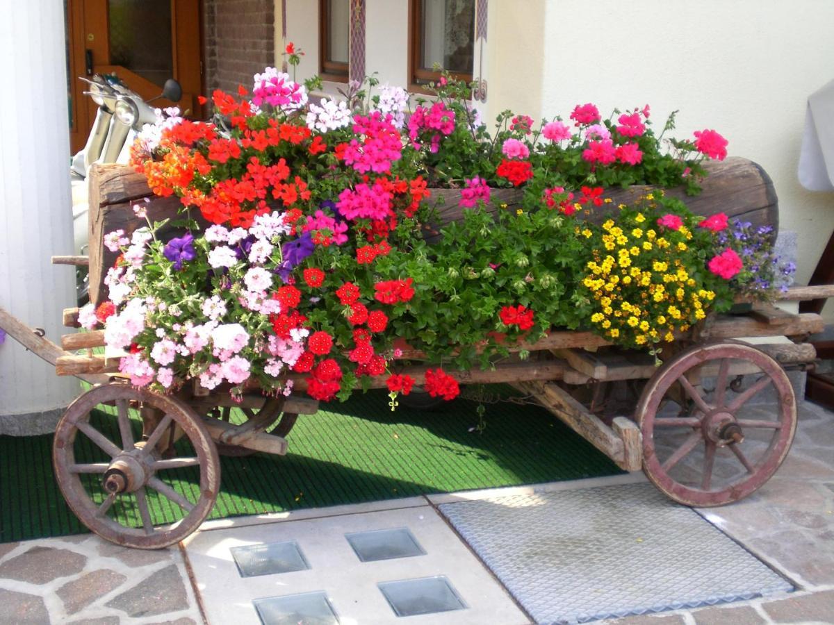 Park Hotel Arnica Falcade Εξωτερικό φωτογραφία