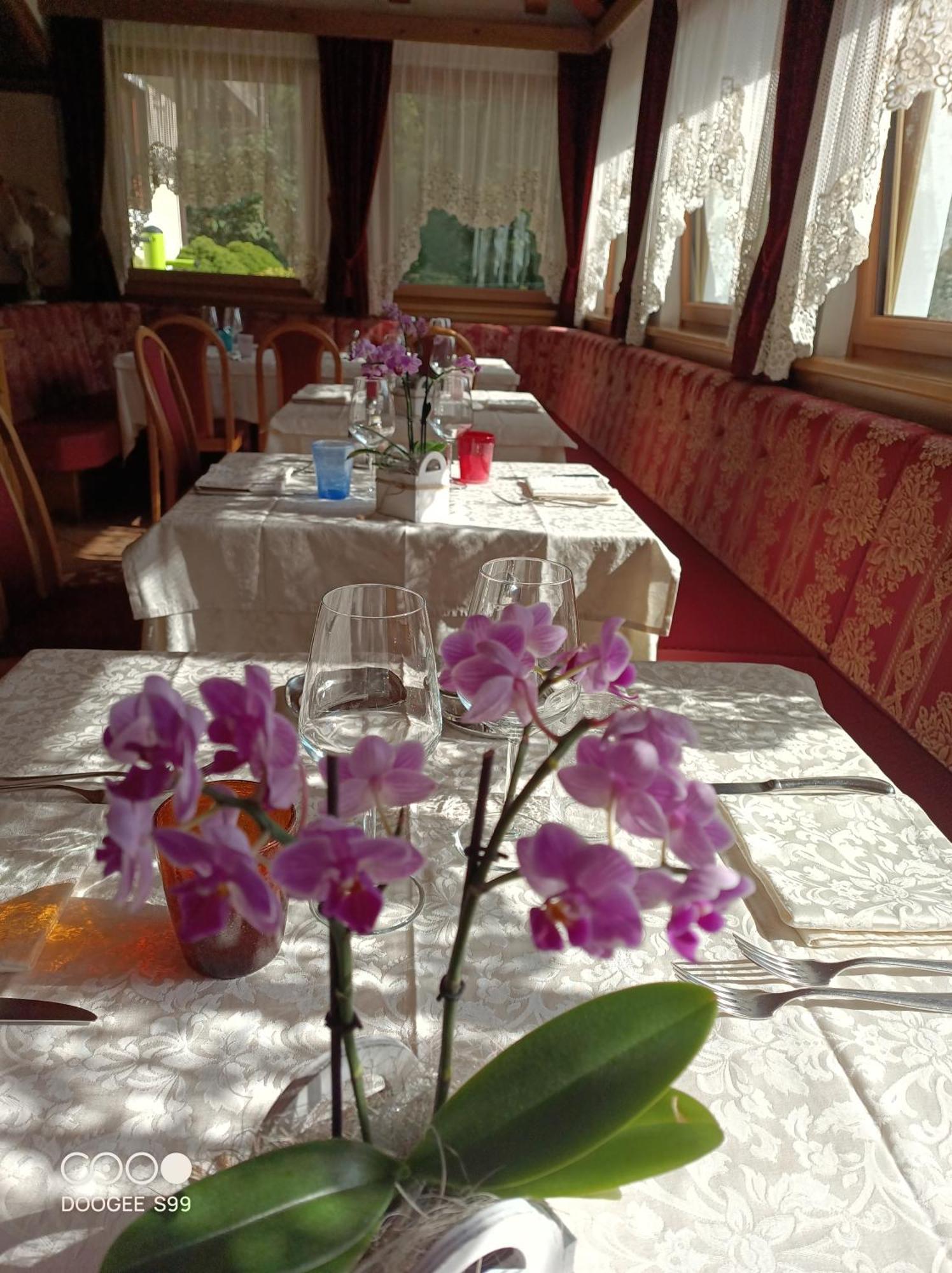 Park Hotel Arnica Falcade Εξωτερικό φωτογραφία